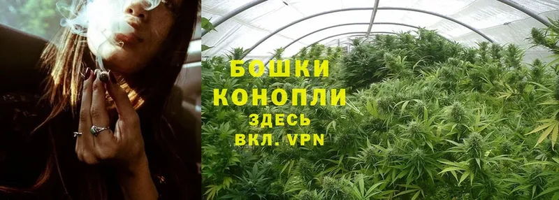 Шишки марихуана White Widow  дарнет шоп  darknet телеграм  Ленинск 